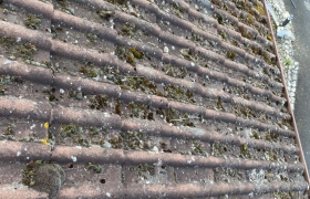 Nettoyage et demoussage de toiture à Montluçon